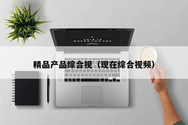 精品产品综合视(现在综合视频)