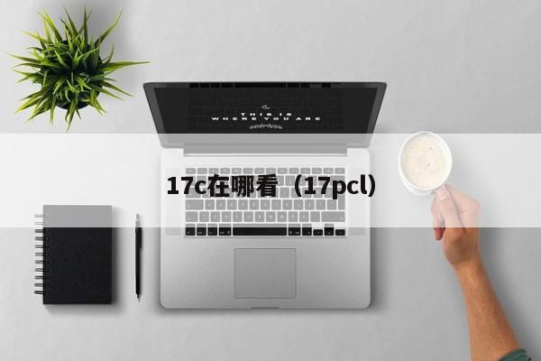 17c在哪看(17pcl)