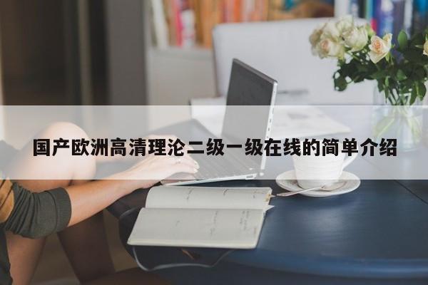 国产欧洲高清理沦二级一级在线的简单介绍