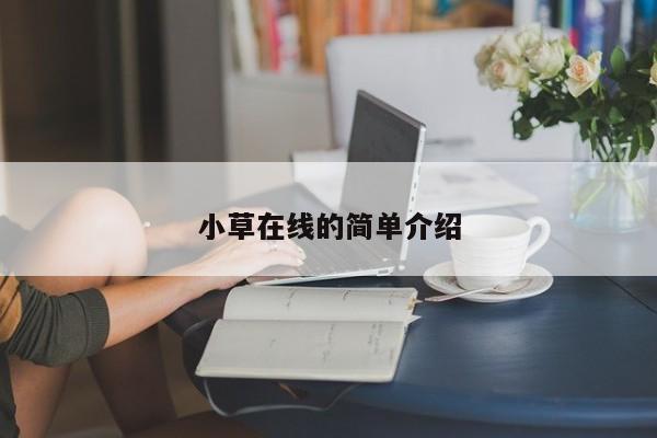 小草在线的简单介绍
